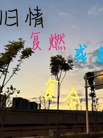 旧情复燃还是复合