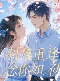 羽落重逢，念你如初