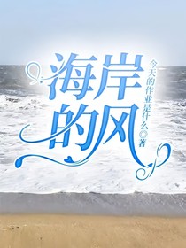 海岸的风