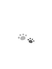 喜美：那段回憶（隨筆）