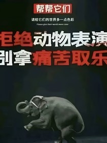 看过前两部的过来