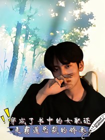 穿越女配还是那烂剧情
