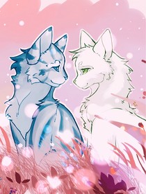 猫武士之松鸦羽的答案