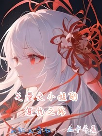 矢量大小姐的復(fù)仇之路