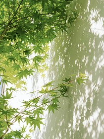 周名軒：時(shí)光正好