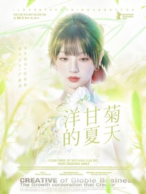 TNT：洋甘菊的夏天