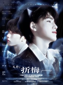文轩：折梅