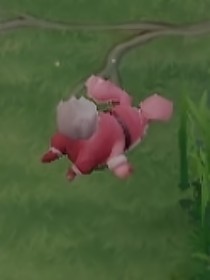 张旭砰砰砰
