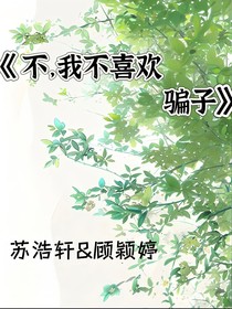 不，我不喜欢骗子