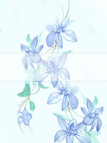 流紗浣影