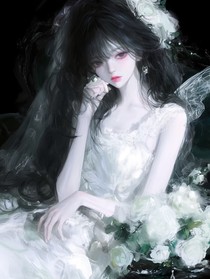 美景如安jx