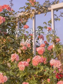 斬神之永恒花園