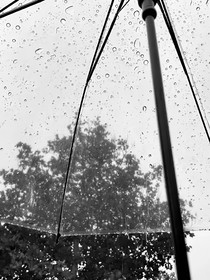 地上：雨天
