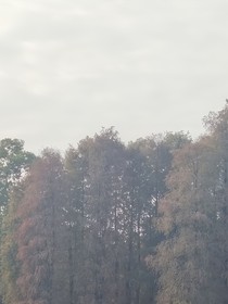 从山到海（随笔集）
