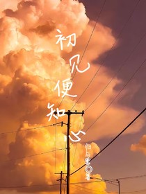 初見便知心