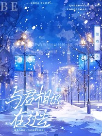 与君相识在过去