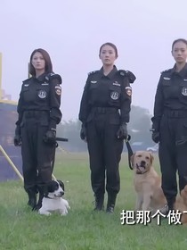 新年新征程