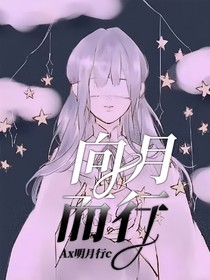 向月而行
