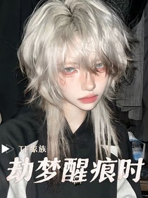 TF家族：劫梦醒痕时
