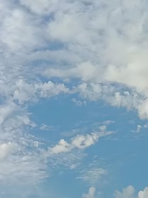 书名正在修改1735893575957175293