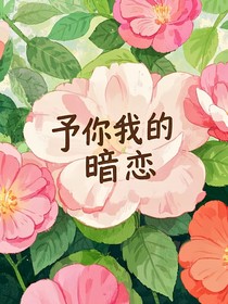 予你我的暗恋
