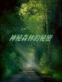 神秘森林的秘密