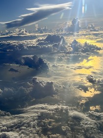 我的青春让给你