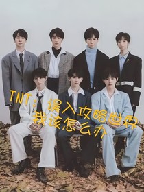 TNT：误入攻略世界我该怎么办