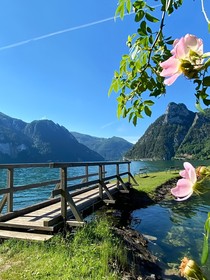 青春微信群