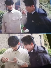 折翼蝴蝶夏黄同人
