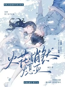 火花悄然熄滅
