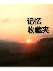 记忆收藏夹