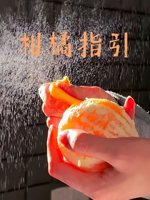 柑橘指引