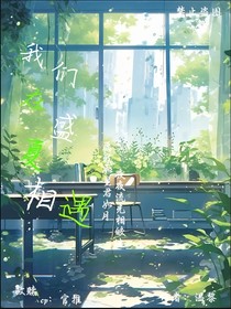我们在盛夏相遇（斗龙）