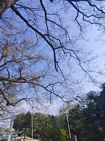 爱在余夏