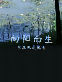 無限流，向陽而生