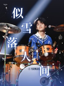 TF三代：似雪落人间