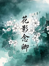 光影念卿1