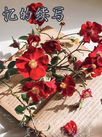忆的续写