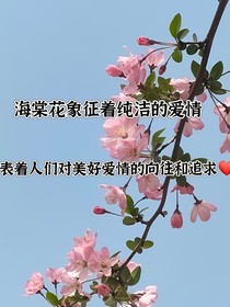 我心动了糖