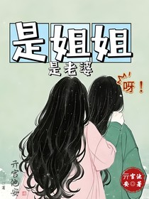 是姐姐是老婆呀