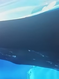 星何遗梦