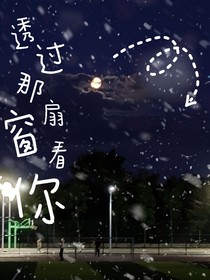 透过那扇窗看你