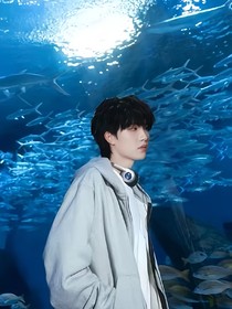 苏朱：偏偏独宠苏新皓