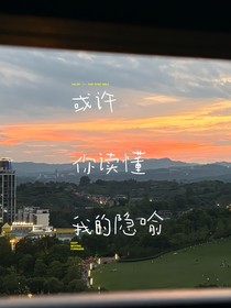 或许你读懂我的隐喻