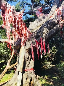 奉系挽歌
