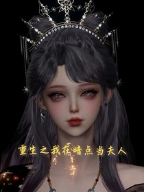 重生之我在暗点当夫人