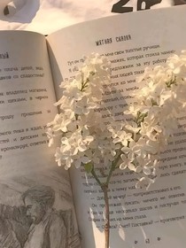 死后生存指南