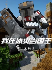我的世界：我在冰火当国王