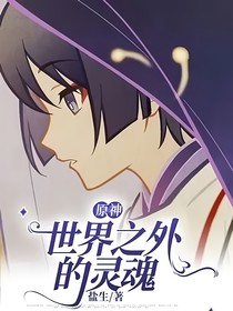 原神：世界之外的灵魂